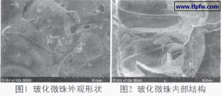 ?；⒅橥庥^形狀及內(nèi)部結(jié)構(gòu)